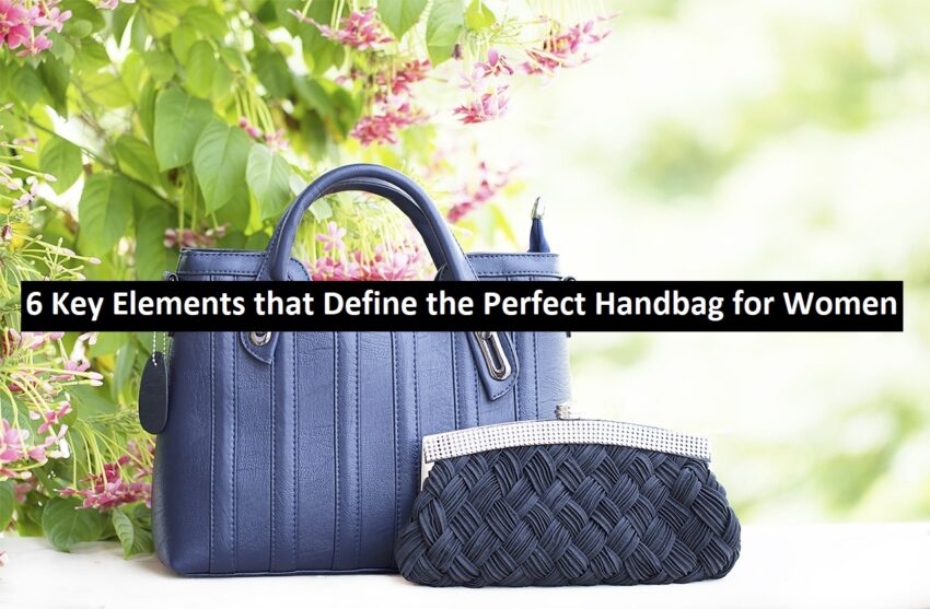 Perfect Handbag for Women